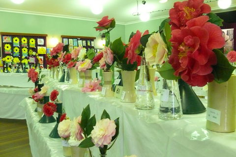 Blackheath Flower And Craft Show - Accommodation in Brisbane 1