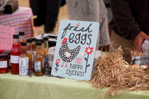 Bream Creek Farmers Market - Accommodation in Brisbane 1