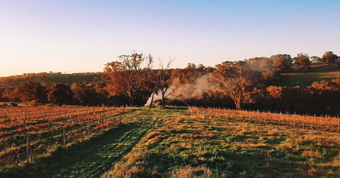 Cargo Road Wines Grande Fiamma - Accommodation in Brisbane 0
