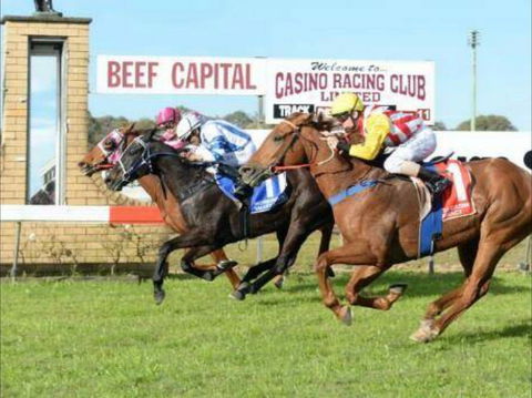 Casino Cup - Accommodation in Brisbane 0