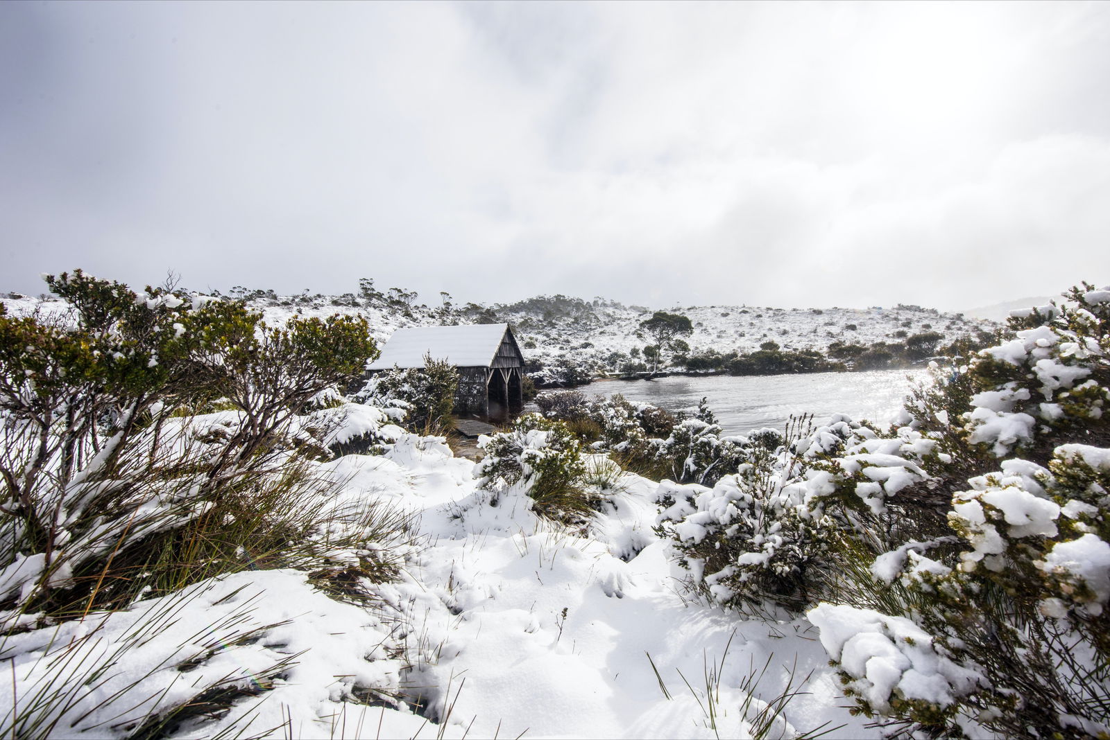 Cradle Mountain TAS Accommodation in Brisbane
