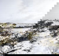 Christmas in July at Cradle Mountain Hotel 2020 - Accommodation in Brisbane