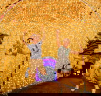 Christmas Lights Spectacular New Year's Eve at Hunter Valley Gardens - Accommodation in Brisbane