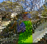 Conservation Volunteers Australia Townsville - Beach Scrub Conservation - Accommodation in Brisbane