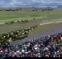 Cooma Sundowners Cup - Accommodation in Brisbane