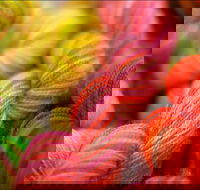 Creative Fibre - Accommodation in Brisbane