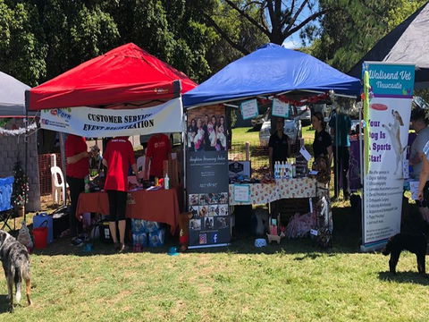 Dogs In The Park Swansea - Accommodation in Brisbane 1