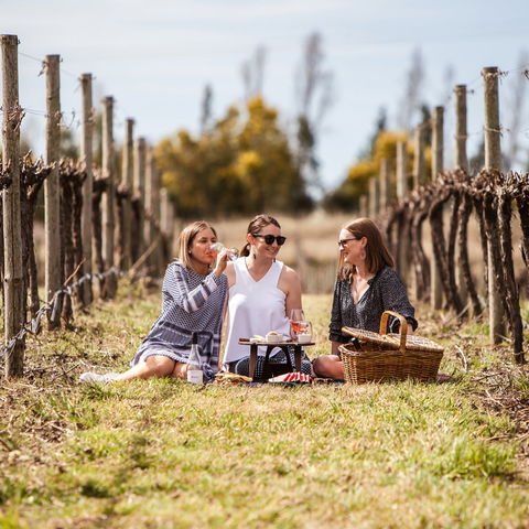 Family Picnic Weekend - Accommodation in Brisbane 0
