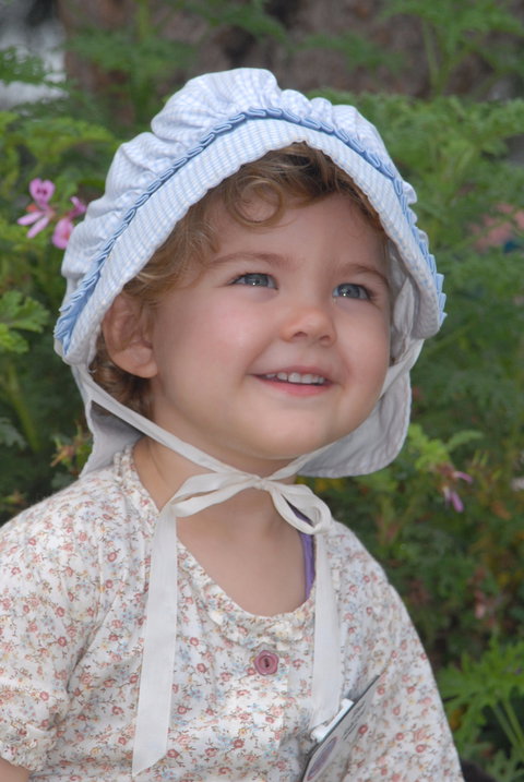 Festival Of The Big Cow - Accommodation in Brisbane 1