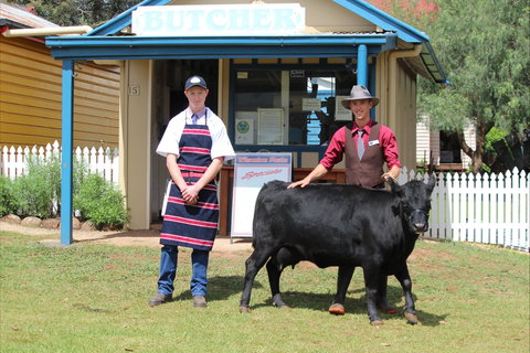 Festival Of The Big Cow - Accommodation in Brisbane 2