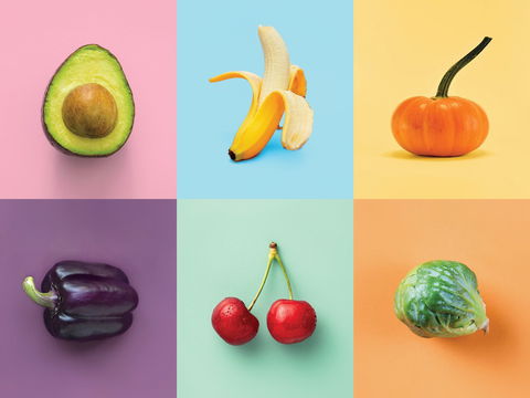 Food For Thought: Alternative Food Sources - Accommodation in Brisbane 0