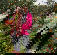 Fruit Taste Adventure Tours - Accommodation in Brisbane