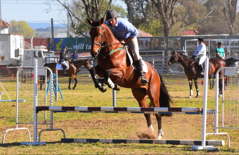 Glen Innes Pastoral And Agricultural Show - Accommodation in Brisbane 0