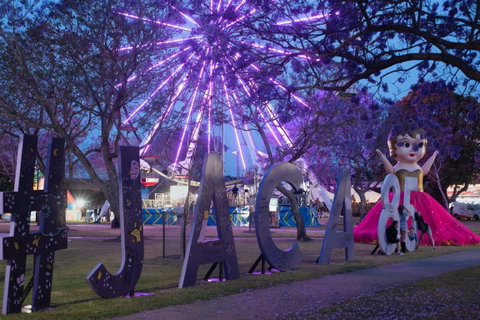 Grafton Jacaranda Festival - Accommodation in Brisbane 0