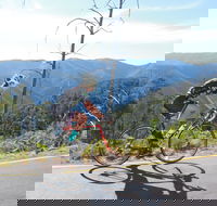 High Country Women's Cycling Festival - Accommodation in Brisbane