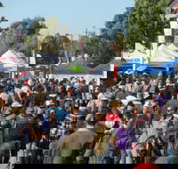 Hunter Valley Caravan Camping 4WD Fish and Boat Show - Accommodation in Brisbane