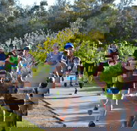 Husky Half Running Festival - Accommodation in Brisbane