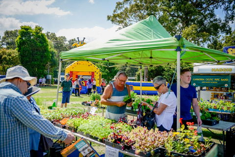 Huskisson Market - Accommodation in Brisbane 0