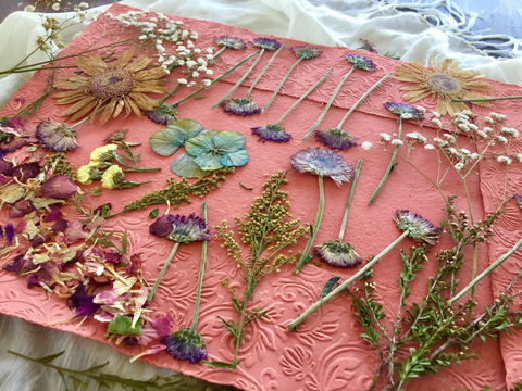 Introduction To Paper Making - Accommodation in Brisbane 0