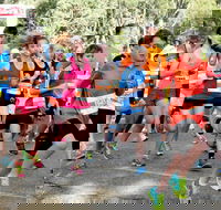 MAAS Group Dubbo Stampede Running Festival - Accommodation in Brisbane