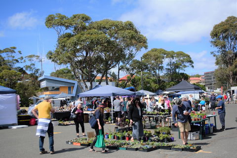 Marine Rescue Ulladulla Wharf Markets - Accommodation in Brisbane 1