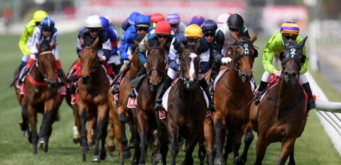 Melbourne Cup Lunch Cruise With Vagabond Cruises - Accommodation in Brisbane 1