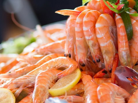 Melbourne Cup Lunch Cruise With Vagabond Cruises - Accommodation in Brisbane 2