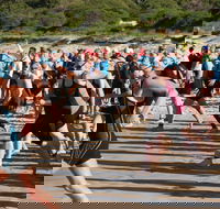 Port Stephens Triathlon Festival - Accommodation in Brisbane
