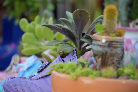 QCWA Sunday Markets - Accommodation in Brisbane 1