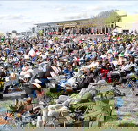 Riverfest Food Wine and Music Festival - Accommodation in Brisbane