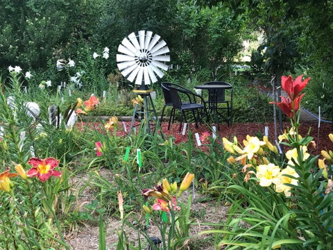 Riverina Iris Farm Open Garden And Iris Display - Accommodation in Brisbane 2