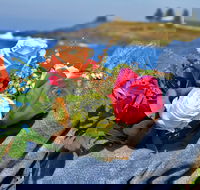 Roses by the Seaside National Rose Championships and Conference - Accommodation in Brisbane