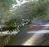 The Man From Snowy River Bush Festival - Accommodation in Brisbane