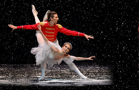 The Nutcracker And Don Quixote - Accommodation in Brisbane 0
