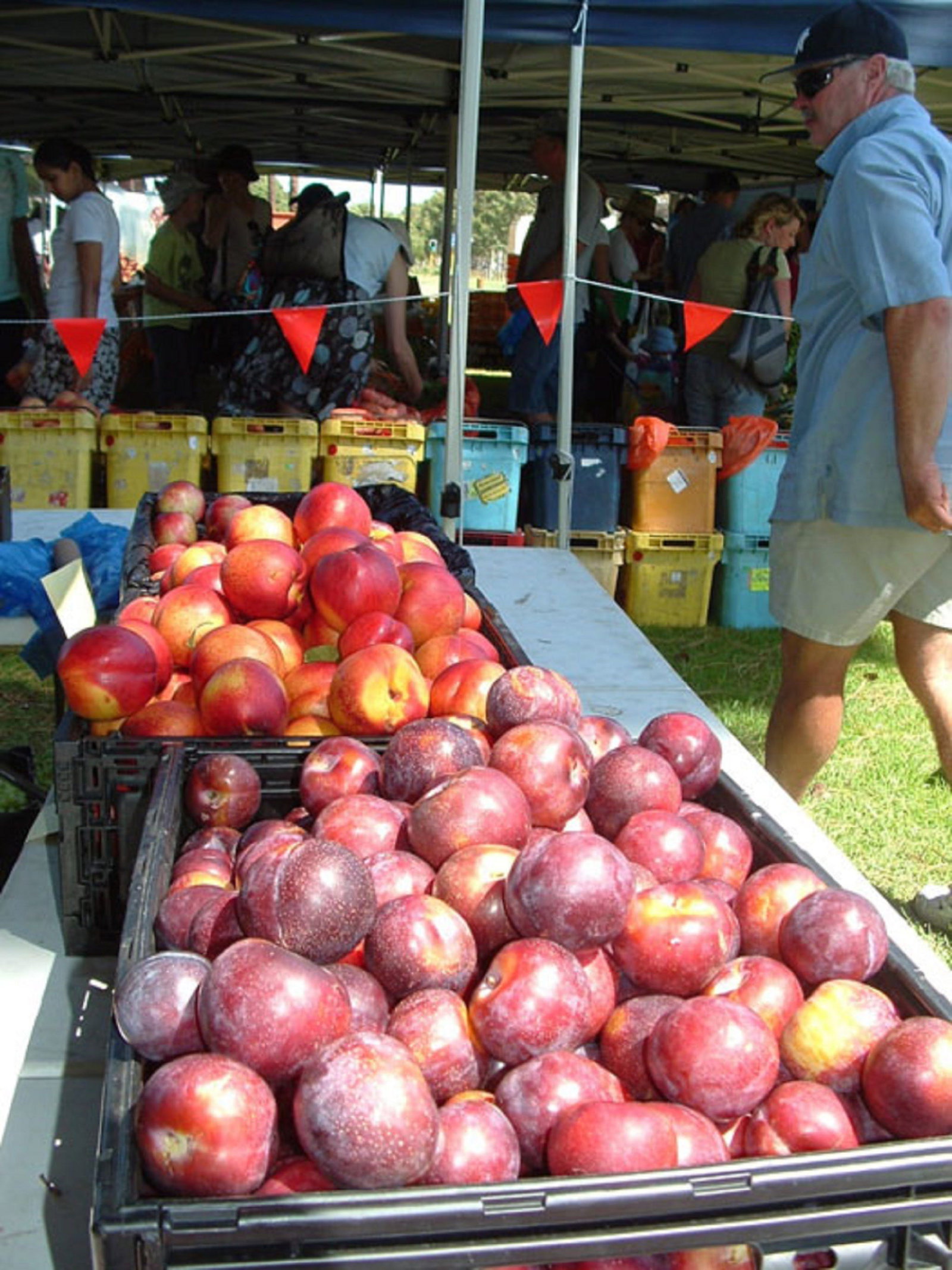 Karawara WA Accommodation in Brisbane