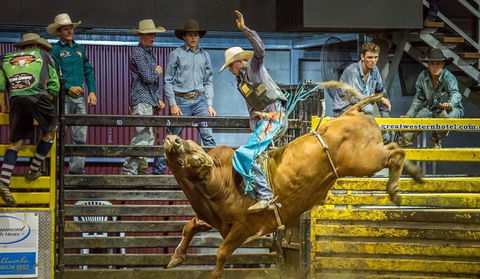 Top Gun And Young Gun Series Round 9 - Accommodation in Brisbane 0