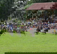 Tumut Boxing Day Races - Accommodation in Brisbane