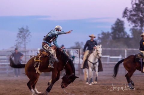 Walgett Charity Bushman's Carnival Rodeo And Campdraft - Accommodation in Brisbane 1