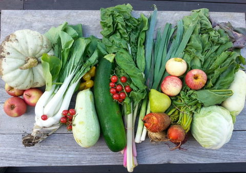 Wingham Farmers Market - Accommodation in Brisbane 0