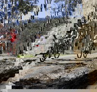 Wollombi Wild Ride Mountain Bike Ride - Accommodation in Brisbane