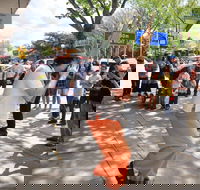 Australian National Busking Championships - Accommodation in Brisbane