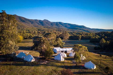 A Wild Night Out - Spring - Accommodation in Brisbane 5