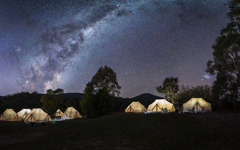 A Wild Night Out - Spring - Accommodation in Brisbane 6