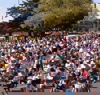 Bathurst Edgell Jog - Accommodation in Brisbane