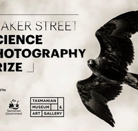 Beaker Street Science Photography Prize - Accommodation in Brisbane