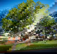 Big Bat Wildlife and Eco Festival - Accommodation in Brisbane
