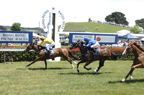 Bong Bong Picnic Races - Accommodation in Brisbane 0