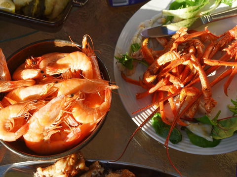 Cape Jaffa Food And Wine Festival - Accommodation in Brisbane 0
