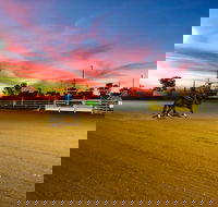 Cloncurry Stockmans Challenge and Campdraft - Accommodation in Brisbane
