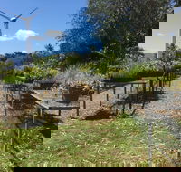 Conservation Volunteers Australia Townsville - Ocean View Nursery - Accommodation in Brisbane